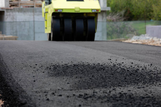 Best Professional Driveway Pavers  in Petoskey, MI